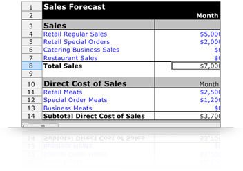 Computer Software Business Plan Sample - Executive