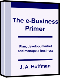 The e-Business Primer