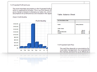 Matches the format preferred by banks, investors, and SBA lenders